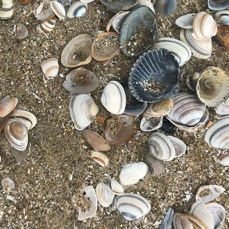 民宿 Bij De Zee Centre Of 10 Min From Beaches