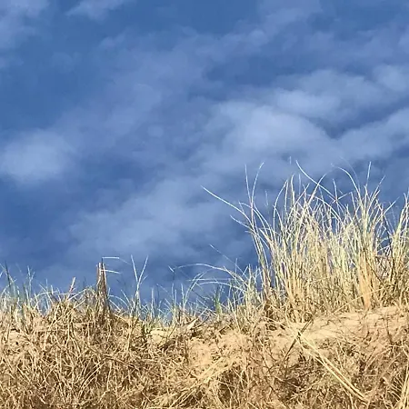 Bij De Zee Centre Of 10 Min From Beaches Habitación en casa particular