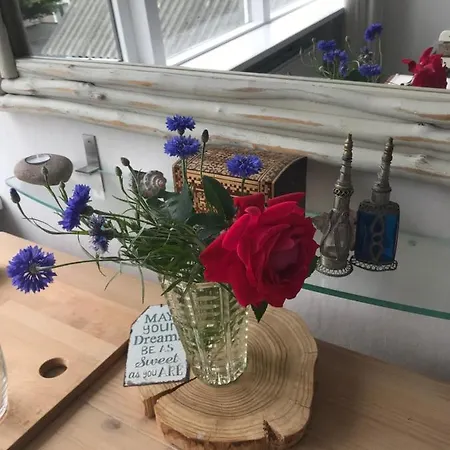 Bij De Zee Centre Of 10 Min From Beaches *