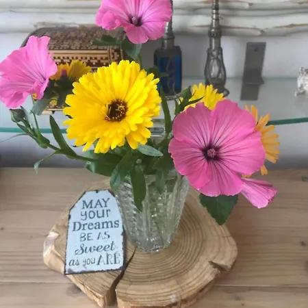 Bij De Zee Centre Of 10 Min From Beaches