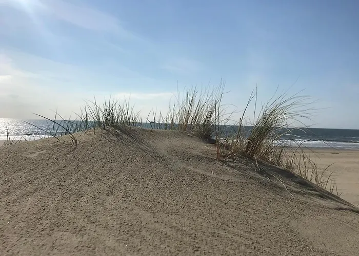 Bij De Zee Centre Of 10 Min From Beaches *