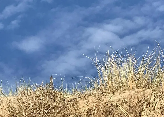 Bij De Zee Centre Of 10 Min From Beaches 홈스테이