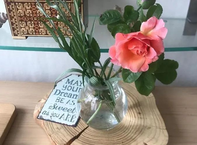 Bij De Zee Centre Of 10 Min From Beaches 홈스테이 *