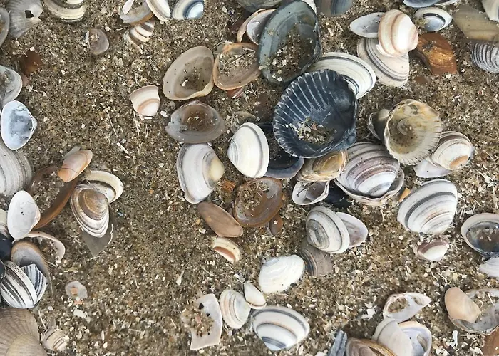 홈스테이 Bij De Zee Centre Of 10 Min From Beaches