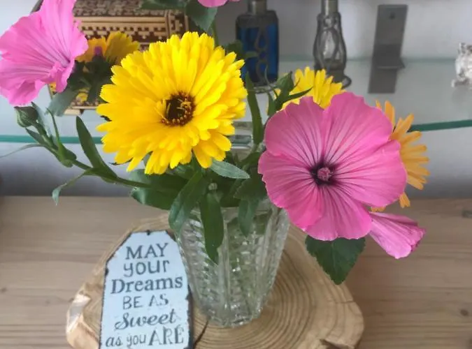 Bij De Zee Centre Of 10 Min From Beaches