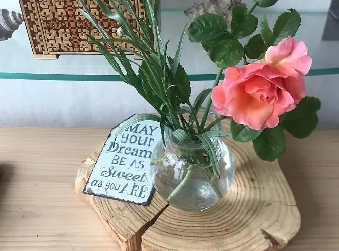 Bij De Zee Centre Of 10 Min From Beaches 줄리아나도르프